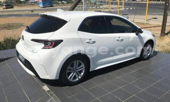 Buy Used Toyota Corolla White Car in Karasburg in Karas Buy Used Toyota Corolla White Car in Karasburg in Karas