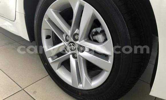 Buy Used Toyota Corolla White Car in Karasburg in Karas Buy Used Toyota Corolla White Car in Karasburg in Karas