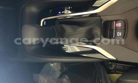 Buy Used Toyota Corolla White Car in Karasburg in Karas Buy Used Toyota Corolla White Car in Karasburg in Karas