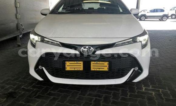 Buy Used Toyota Corolla White Car in Karasburg in Karas Buy Used Toyota Corolla White Car in Karasburg in Karas