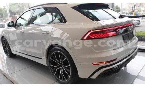 Buy Used Audi Q8 White Car in Kuisebmond in Erongo Buy Used Audi Q8 White Car in Kuisebmond in Erongo