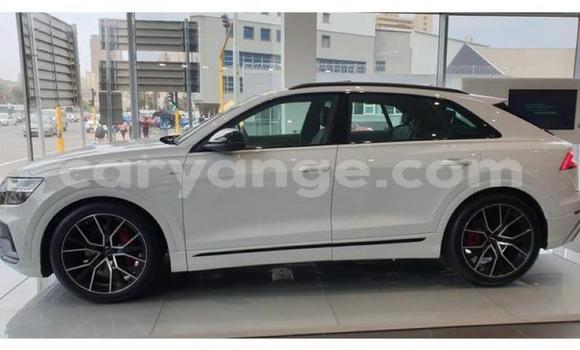 Buy Used Audi Q8 White Car in Kuisebmond in Erongo Buy Used Audi Q8 White Car in Kuisebmond in Erongo