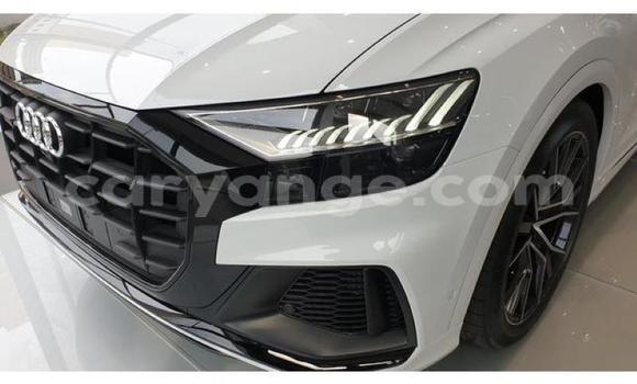 Buy Used Audi Q8 White Car in Kuisebmond in Erongo Buy Used Audi Q8 White Car in Kuisebmond in Erongo