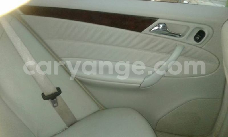 Big with watermark 15578737 1281570078576389 5086098407229006862 n