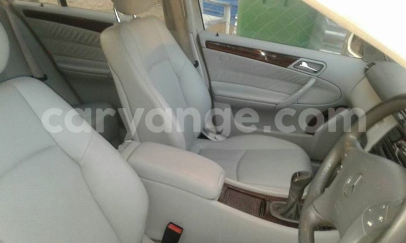 Big with watermark 15590123 1873629849587474 5620022596992670559 n