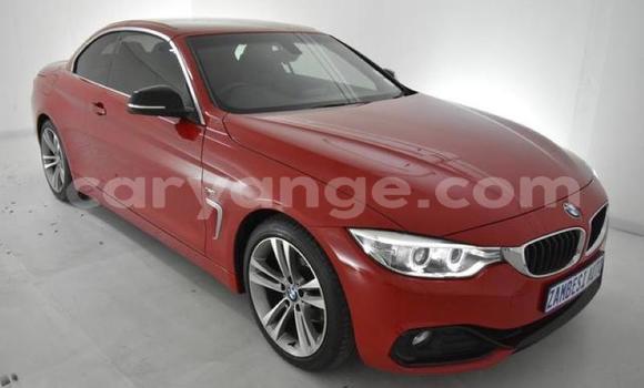 Buy Used BMW 4er Red Car in Karasburg in Karas Buy Used BMW 4er Red Car in Karasburg in Karas