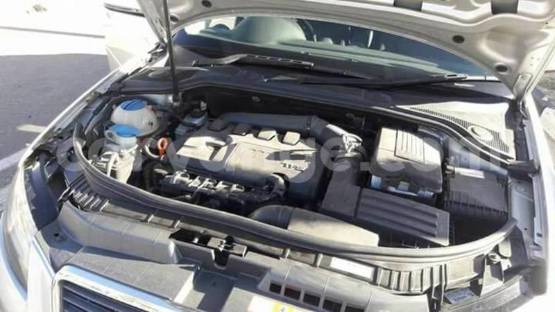 Big with watermark 15590123 1873629849587474 5620022596992670559 n