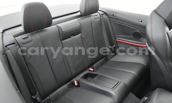 Buy Used BMW 4er Red Car in Karasburg in Karas Buy Used BMW 4er Red Car in Karasburg in Karas