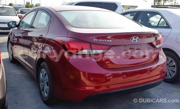 Buy Import Hyundai Elantra Red Car in Import - Dubai in Namibia Buy Import Hyundai Elantra Red Car in Import - Dubai in Namibia