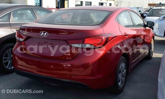 Buy Import Hyundai Elantra Red Car in Import - Dubai in Namibia Buy Import Hyundai Elantra Red Car in Import - Dubai in Namibia