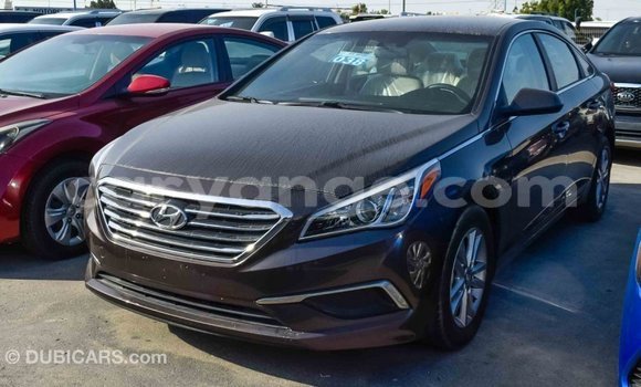 Buy Import Hyundai Sonata Brown Car in Import - Dubai in Namibia Buy Import Hyundai Sonata Brown Car in Import - Dubai in Namibia