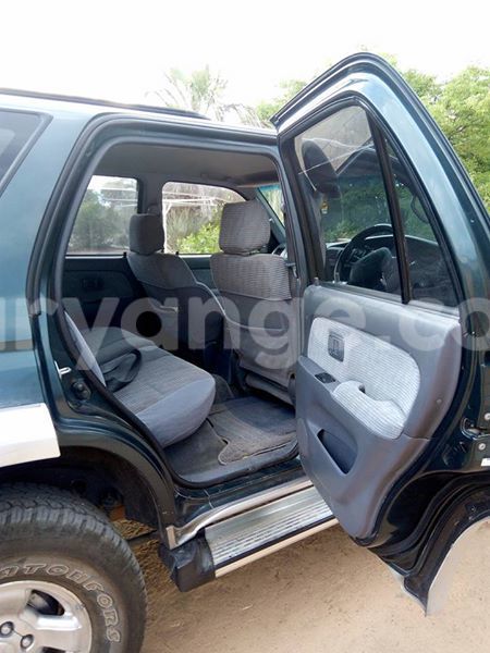 Big with watermark 15590123 1873629849587474 5620022596992670559 n