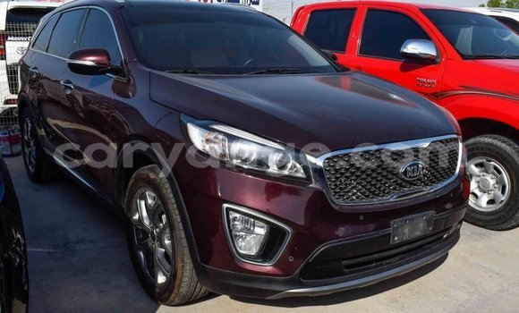Buy Import Kia Sorento Brown Car in Import - Dubai in Namibia Buy Import Kia Sorento Brown Car in Import - Dubai in Namibia
