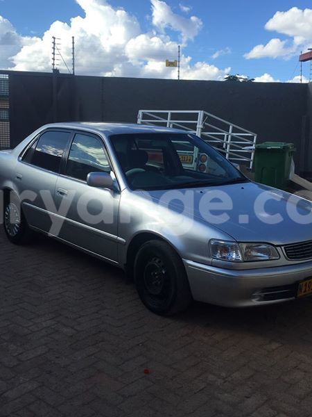 Big with watermark 15285033 1129442643839909 5134408343826197814 n