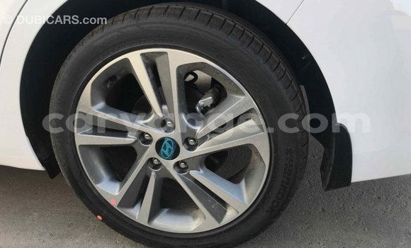 Buy Import Hyundai Elantra White Car in Import - Dubai in Namibia Buy Import Hyundai Elantra White Car in Import - Dubai in Namibia