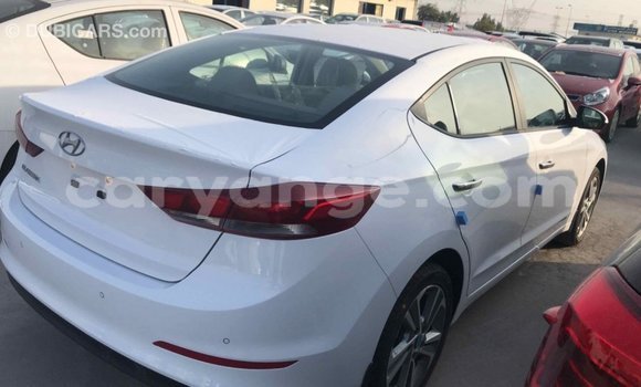 Buy Import Hyundai Elantra White Car in Import - Dubai in Namibia Buy Import Hyundai Elantra White Car in Import - Dubai in Namibia
