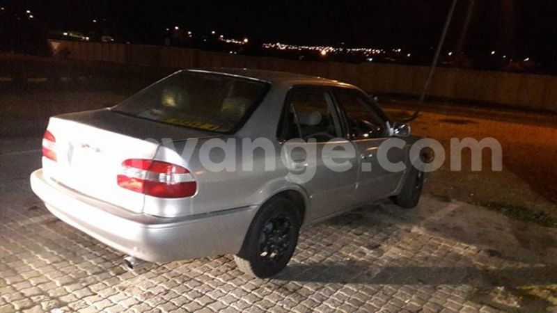 Big with watermark 15284065 1129442633839910 5230908860684797680 n