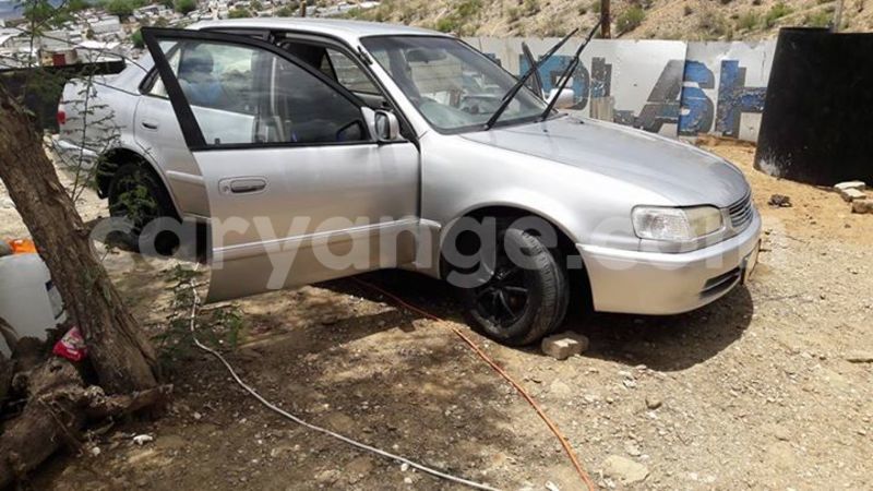 Big with watermark 15285033 1129442643839909 5134408343826197814 n