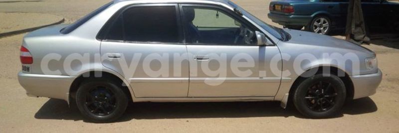 Big with watermark 15578737 1281570078576389 5086098407229006862 n