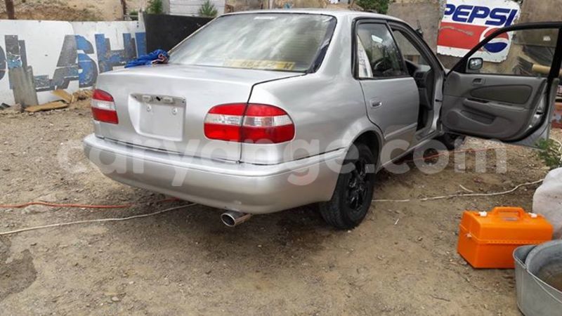 Big with watermark 15590123 1873629849587474 5620022596992670559 n