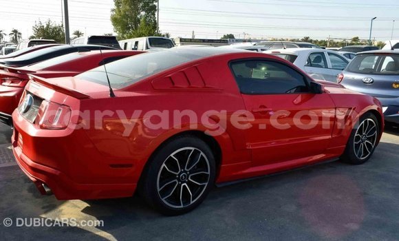 Buy Import Ford Mustang Red Car in Import - Dubai in Namibia Buy Import Ford Mustang Red Car in Import - Dubai in Namibia