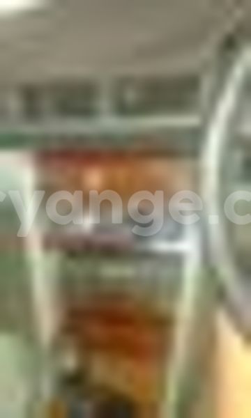 Big with watermark 15285033 1129442643839909 5134408343826197814 n