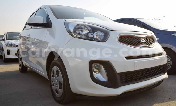Buy Import Kia Picanto White Car in Import - Dubai in Namibia Buy Import Kia Picanto White Car in Import - Dubai in Namibia