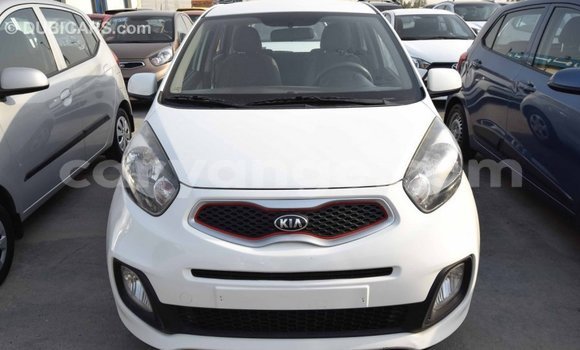 Buy Import Kia Picanto White Car in Import - Dubai in Namibia Buy Import Kia Picanto White Car in Import - Dubai in Namibia