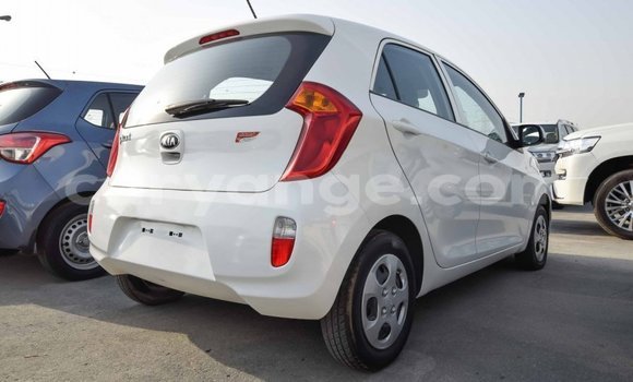 Buy Import Kia Picanto White Car in Import - Dubai in Namibia Buy Import Kia Picanto White Car in Import - Dubai in Namibia