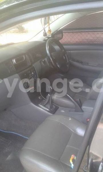 Big with watermark 15578737 1281570078576389 5086098407229006862 n