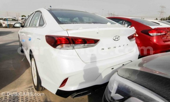 Buy Import Hyundai Sonata White Car in Import - Dubai in Namibia Buy Import Hyundai Sonata White Car in Import - Dubai in Namibia