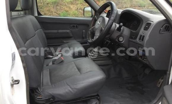 Acheter Occasion Voiture Nissan NP 300 Blanc à Windhoek, Namibie Acheter Occasion Voiture Nissan NP 300 Blanc à Windhoek, Namibie