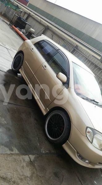 Big with watermark 15284065 1129442633839910 5230908860684797680 n