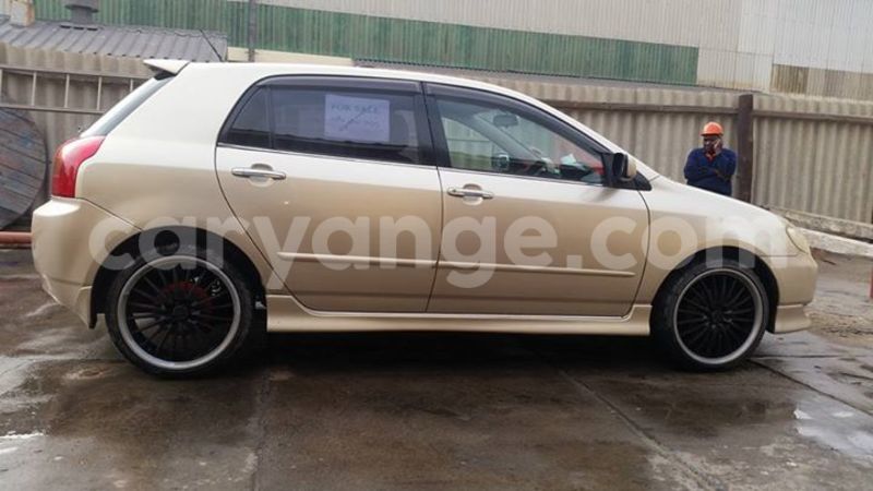 Big with watermark 15285033 1129442643839909 5134408343826197814 n