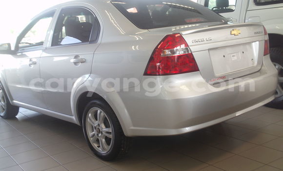 Buy New Chevrolet Camaro Other Car in Windhoek in Namibia