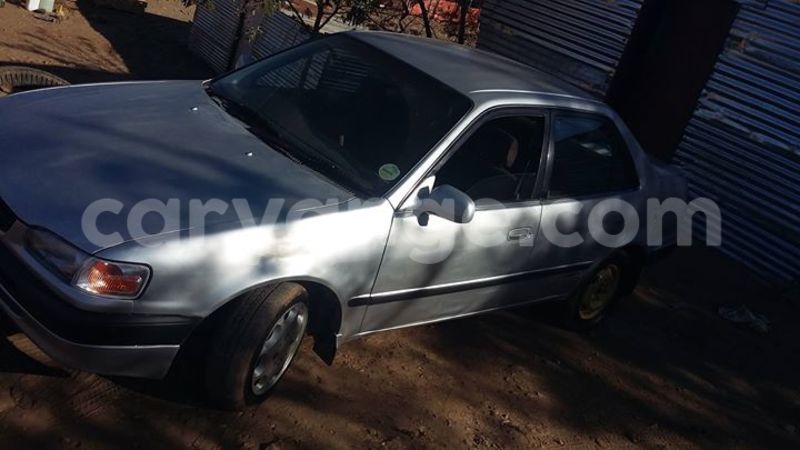 Big with watermark 15284065 1129442633839910 5230908860684797680 n