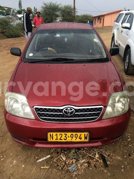 Big with watermark 15284065 1129442633839910 5230908860684797680 n