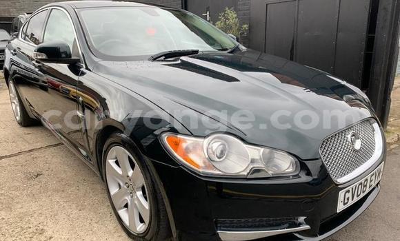 Buy Used Jaguar XF Green Car in Windhoek in Namibia Buy Used Jaguar XF Green Car in Windhoek in Namibia