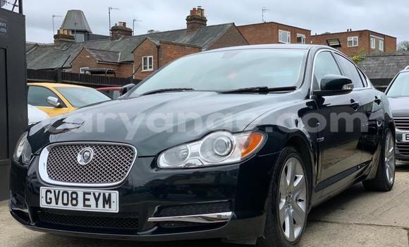 Buy Used Jaguar XF Green Car in Windhoek in Namibia Buy Used Jaguar XF Green Car in Windhoek in Namibia