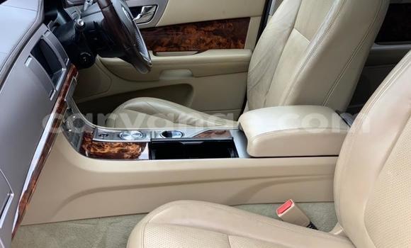 Buy Used Jaguar XF Green Car in Windhoek in Namibia Buy Used Jaguar XF Green Car in Windhoek in Namibia