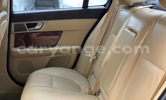 Buy Used Jaguar XF Green Car in Windhoek in Namibia Buy Used Jaguar XF Green Car in Windhoek in Namibia