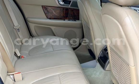 Buy Used Jaguar XF Green Car in Windhoek in Namibia Buy Used Jaguar XF Green Car in Windhoek in Namibia