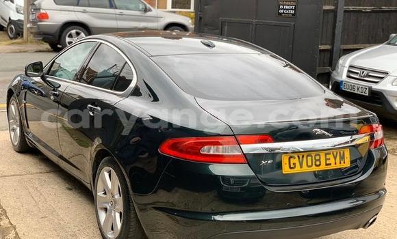 Buy Used Jaguar XF Green Car in Windhoek in Namibia Buy Used Jaguar XF Green Car in Windhoek in Namibia