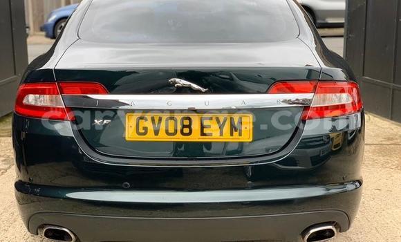 Buy Used Jaguar XF Green Car in Windhoek in Namibia Buy Used Jaguar XF Green Car in Windhoek in Namibia