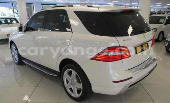 Buy Used Mercedes-Benz ML–Class White Car in Windhoek in Namibia Buy Used Mercedes-Benz ML–Class White Car in Windhoek in Namibia