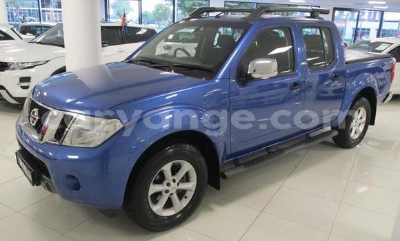 Buy Used Nissan Navara Blue Car in Windhoek in Namibia Buy Used Nissan Navara Blue Car in Windhoek in Namibia