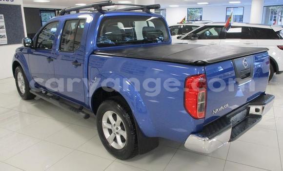 Buy Used Nissan Navara Blue Car in Windhoek in Namibia Buy Used Nissan Navara Blue Car in Windhoek in Namibia