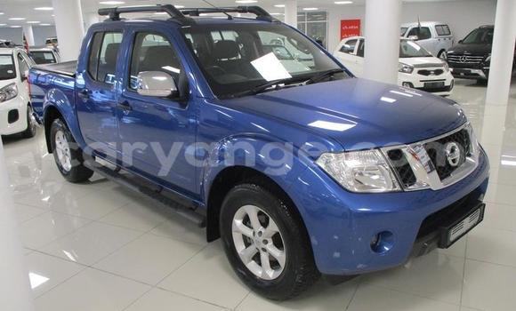Buy Used Nissan Navara Blue Car in Windhoek in Namibia Buy Used Nissan Navara Blue Car in Windhoek in Namibia