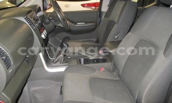 Buy Used Nissan Navara Blue Car in Windhoek in Namibia Buy Used Nissan Navara Blue Car in Windhoek in Namibia