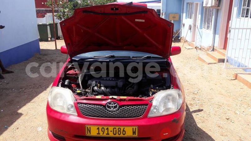 Big with watermark 15578737 1281570078576389 5086098407229006862 n